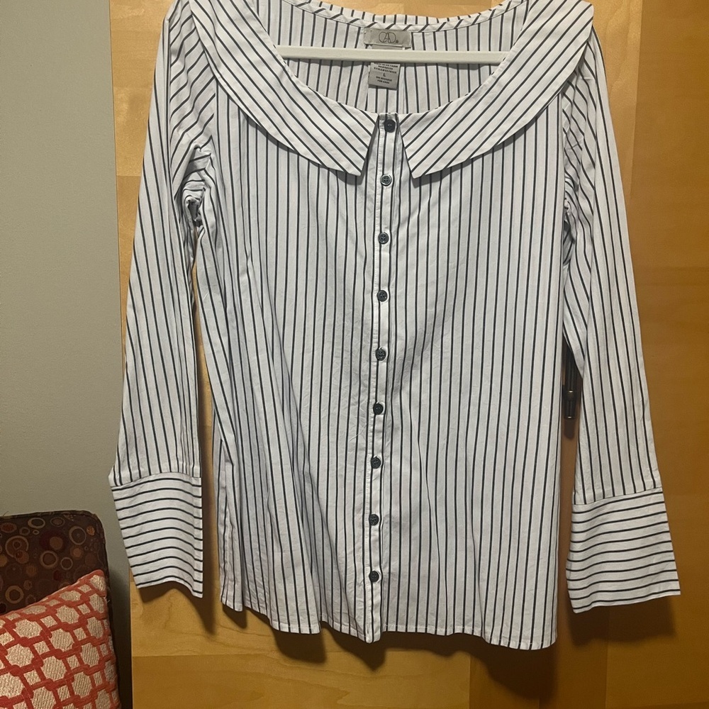 CDC boatneck button down striped top